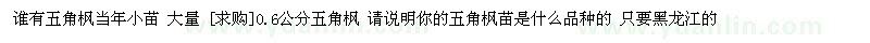 求購(gòu)五角楓當(dāng)年小苗 0.6公分五角楓（黑龍江齊齊哈爾）