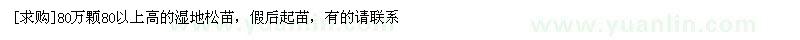 求購80萬顆80以上高的濕地松苗（湖南省株州市）