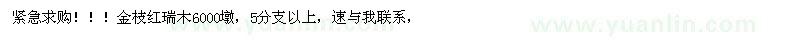 求購(gòu)金枝紅瑞木6000墩