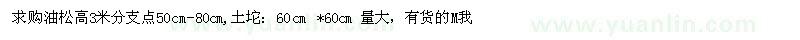 求購油松