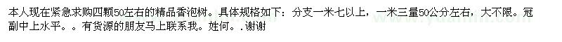 求購(gòu)四顆50左右的精品香泡樹(shù) 