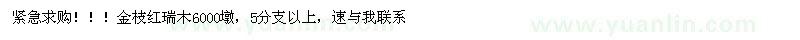 求購緊急求購?。。〗鹬t瑞木6000墩，5分支以上，速與我聯(lián)系