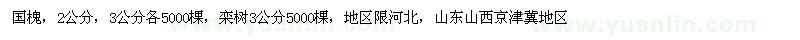 求購國槐，欒樹 