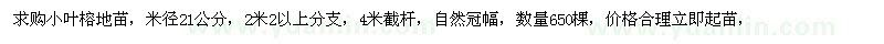 求購小葉榕地苗，米徑21公分，2米2以上分支，4米截桿，自然冠幅，數(shù)量650棵