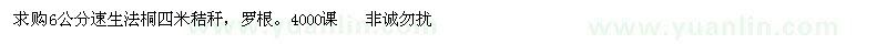 求購6公分速生法桐四米秸稈