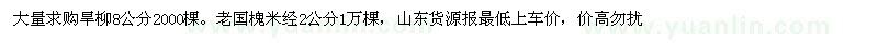 求購大量旱柳　。老國槐