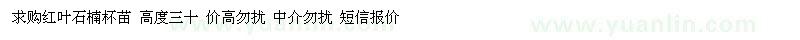 求購紅葉石楠杯苗