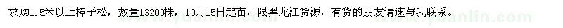 求購1.5米以上樟子松
