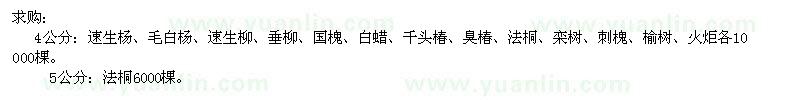 求購速生楊、毛白楊、速生柳、垂柳、國槐、白蠟、千頭椿