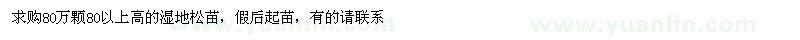 求購(gòu)80以上高的濕地松苗假后起苗