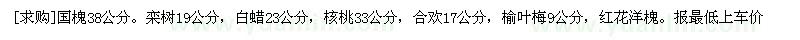 求購國槐38公分，欒樹19公分，白蠟23公分