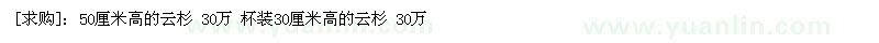 求購(gòu)50厘米高的云杉 杯裝30厘米高的云杉