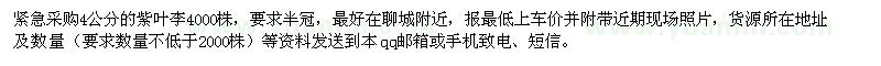 求購4公分的紫葉李4000株