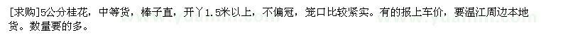 求購(gòu)5公分桂花，中等貨，棒子直