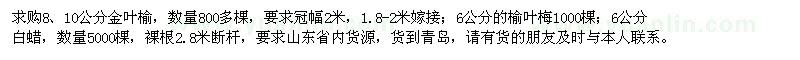 求購8、10公分金葉榆、6公分榆葉梅、6公分白蠟