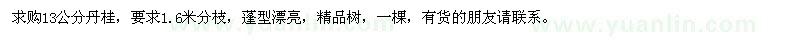 求購13公分丹桂
