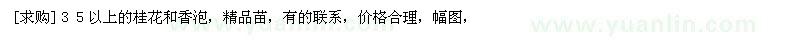 求購３５以上的桂花和香泡，精品苗