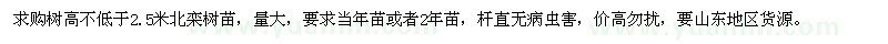 求購北欒樹苗