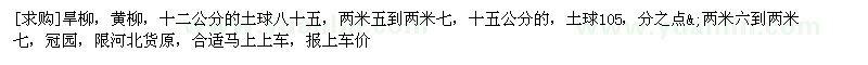 求購旱柳，黃柳