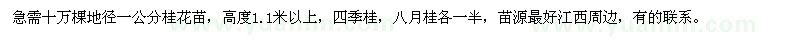 求購(gòu)十萬棵地徑一公分桂花苗