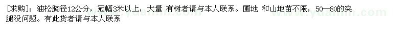 求購油松胸徑12公分，冠幅3米以上