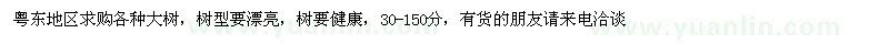 求購粵東地區(qū)各種綠化大樹