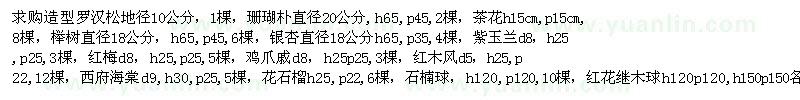 求購造型羅漢松地徑10公分1棵、珊瑚樸直徑20公分,h65,p45,2棵