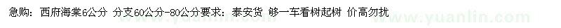 求購西府海棠6公分 分支60公分-80公分