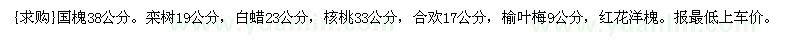 求購國槐38公分。欒樹19公分，白蠟23公分