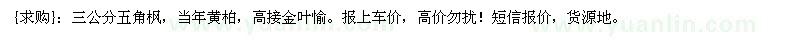 求購三公分五角楓，當年黃柏，高接金葉愉