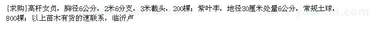 求購高桿女貞、紫葉李