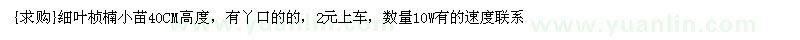 求購(gòu)細(xì)葉楨楠小苗40CM高度，有丫口的的