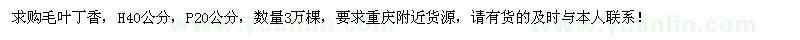 求購高40公分毛葉丁香3萬棵