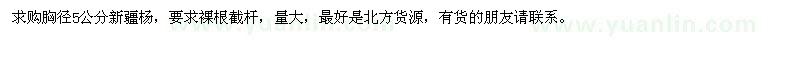 求購胸徑5公分新疆楊