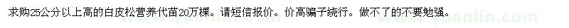 求購25公分以上高的白皮松營養(yǎng)代苗20萬棵