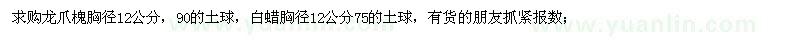 求購龍爪槐，白蠟 