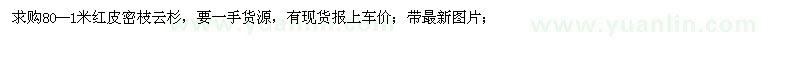 求購80--1米紅皮密枝云杉