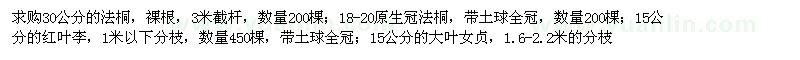 求購法桐、紅葉李、大葉女貞