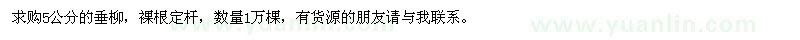 求購5公分的垂柳