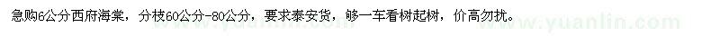 求購6公分西府海棠