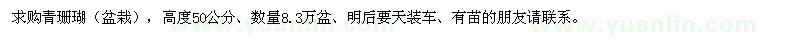 求購青珊瑚