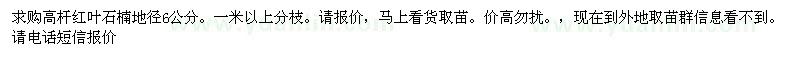 求購(gòu)高桿紅葉石楠地徑6公分