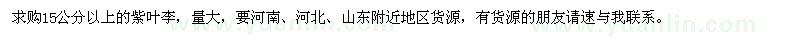求購紫葉李