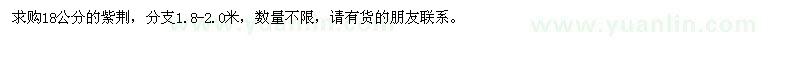 求購18公分的紫荊