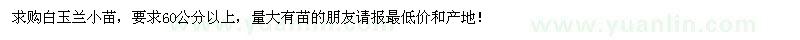 求購白玉蘭小苗 