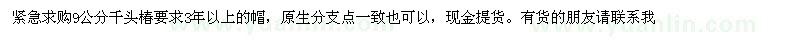 求購9公分千頭椿