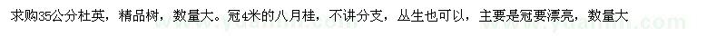 求購八月桂　杜英
