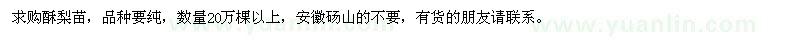 求購酥梨苗