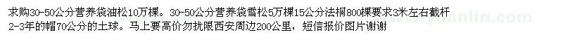 求購營養(yǎng)袋油松 營養(yǎng)袋雪松 法桐