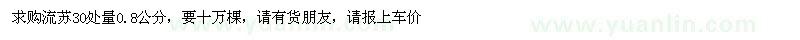 求購(gòu)流蘇30處量0.8公分，要十萬(wàn)棵